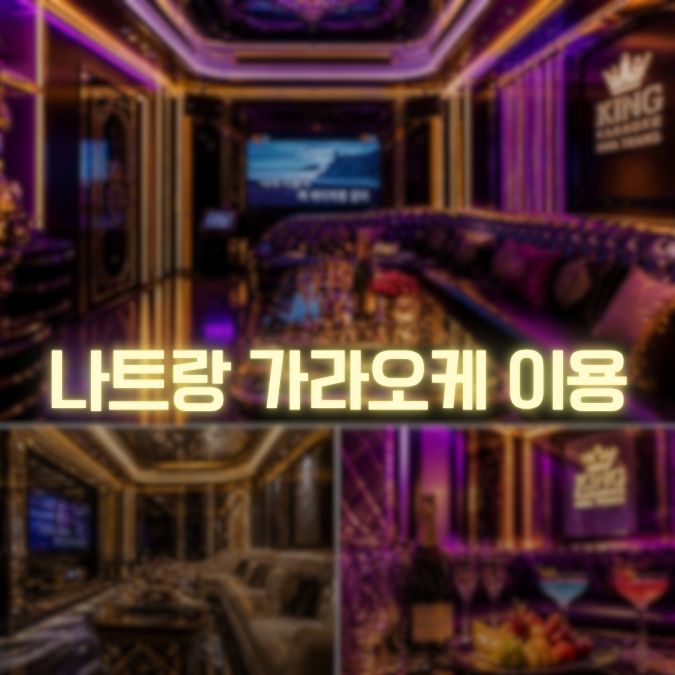 나트랑 가라오케 이용 팁 초보자가 실수하지 않는 방법
