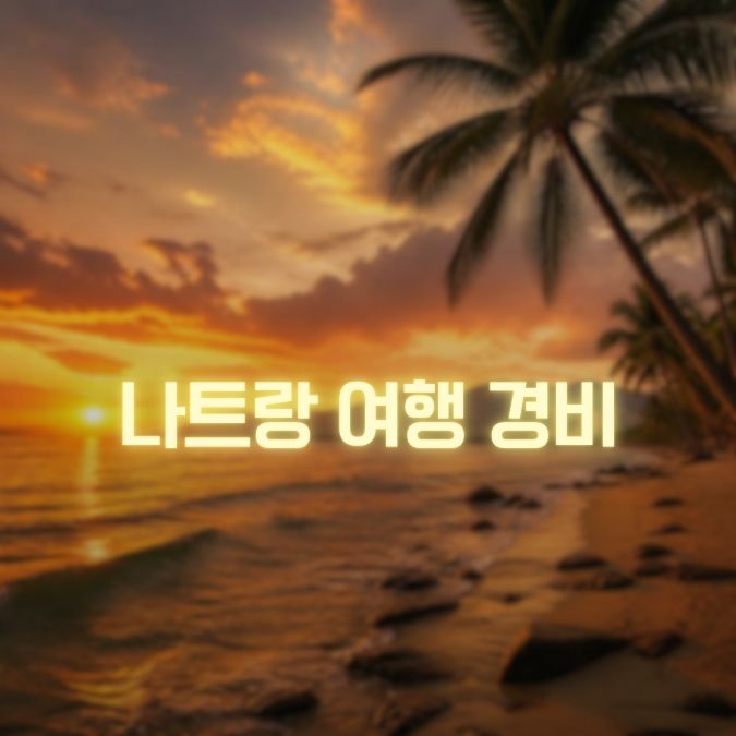 나트랑 여행 경비 계산법 혼자·커플·남자끼리 여행 예산 총정리